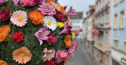 Bild: Einer der 40 bunten Blumenbälle in Konstanz – die Aktion der Marketing und Tourismus Konstanz GmbH ist noch bis Mitte Juni 2021 zu sehen (Quelle / Copyrights: Marketing und Tourismus Konstanz GmbH)