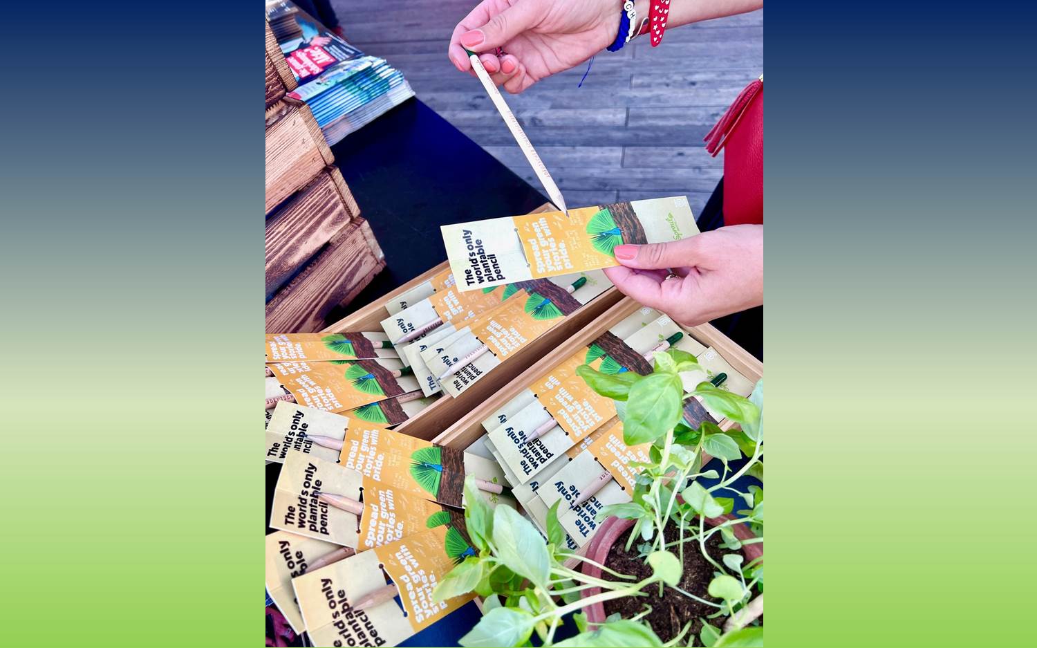 Die No-waste-Stifte von SproutWorld sind ein beliebtes Giveaway bei nachhaltigen Veranstaltungen und "Green Events" – so auch beim Deutschen Schauspielpreis (Bildrechte: SproutWorld)