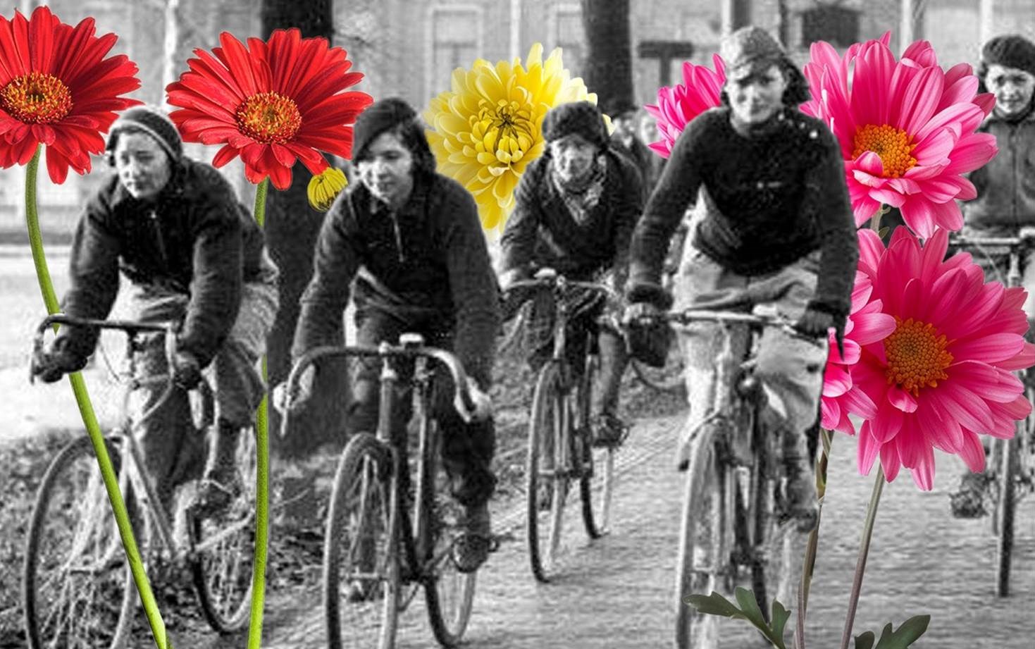 Blumenbüro Holland, Visual zur floralen Aktion bei der Tour de France Femmes 2024, die am 12. August 2024 in Rotterdam startet (Bildquelle: Blumenbüro Holland)