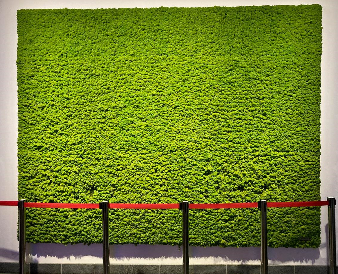 XXL-Mooswand, fotografiert bei einem Event in Berlin, Dezember 2024, © EventMasterBook.de Redaktion