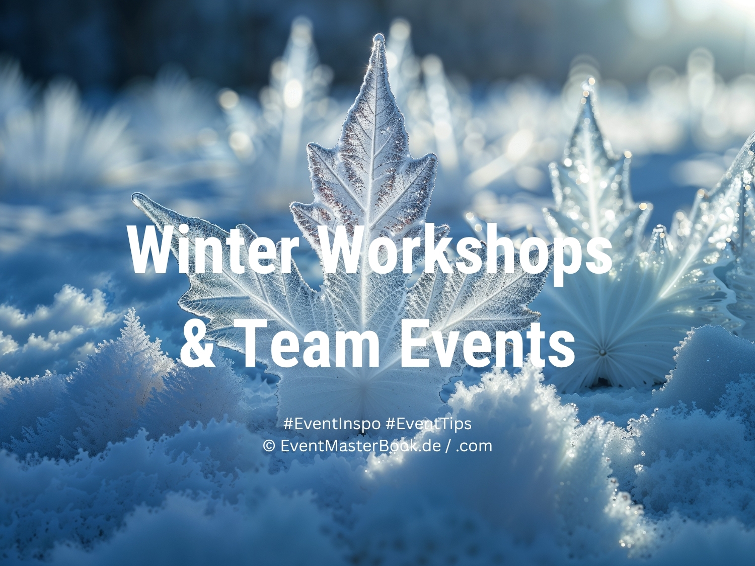 Winterzeit ist Workshop-Zeit. Die AdCoach KFaktory und das EventMasterBook-Redaktionsteam empfehlen einen Mix aus Workshop und Entertainment für Teams, die sich fachlich und emotional auf das neue Geschäftsjahr einstimmen möchten. (Bild / Collage: EventMasterBook.de Redaktion / Foto: Canva Foto Archiv)