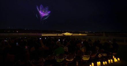 Szene von der DroneArt Show 2025 (Quelle / Copyright: Feverup.com)