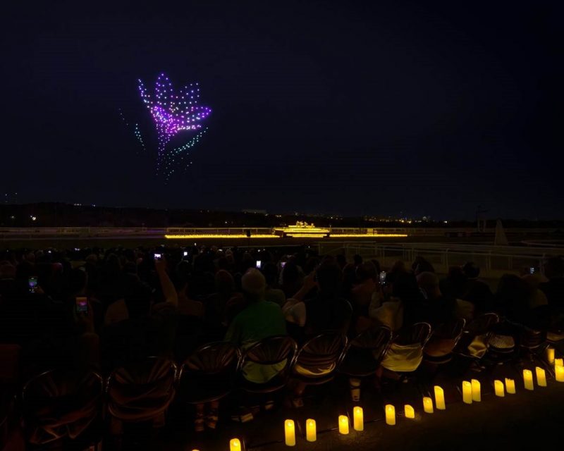 Szene von der DroneArt Show 2025 (Quelle / Copyright: Feverup.com)