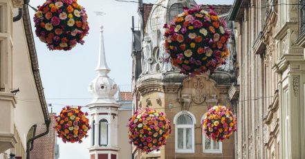 Die Konstanzer Blumenbälle liefern eine schöne Kulisse für besondere Fotomotive und individuelle Social Media Postings (Bildrechte: MTK, Leo Leister)