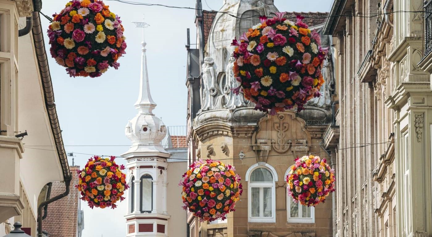 Die Konstanzer Blumenbälle liefern eine schöne Kulisse für besondere Fotomotive und individuelle Social Media Postings (Bildrechte: MTK, Leo Leister)