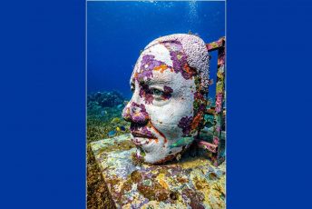 Eine Skulptur des Unterwasserkunst-Projektes Below Saint Lucia (Copyright: Ronald Raoul / Below Saint Lucia)