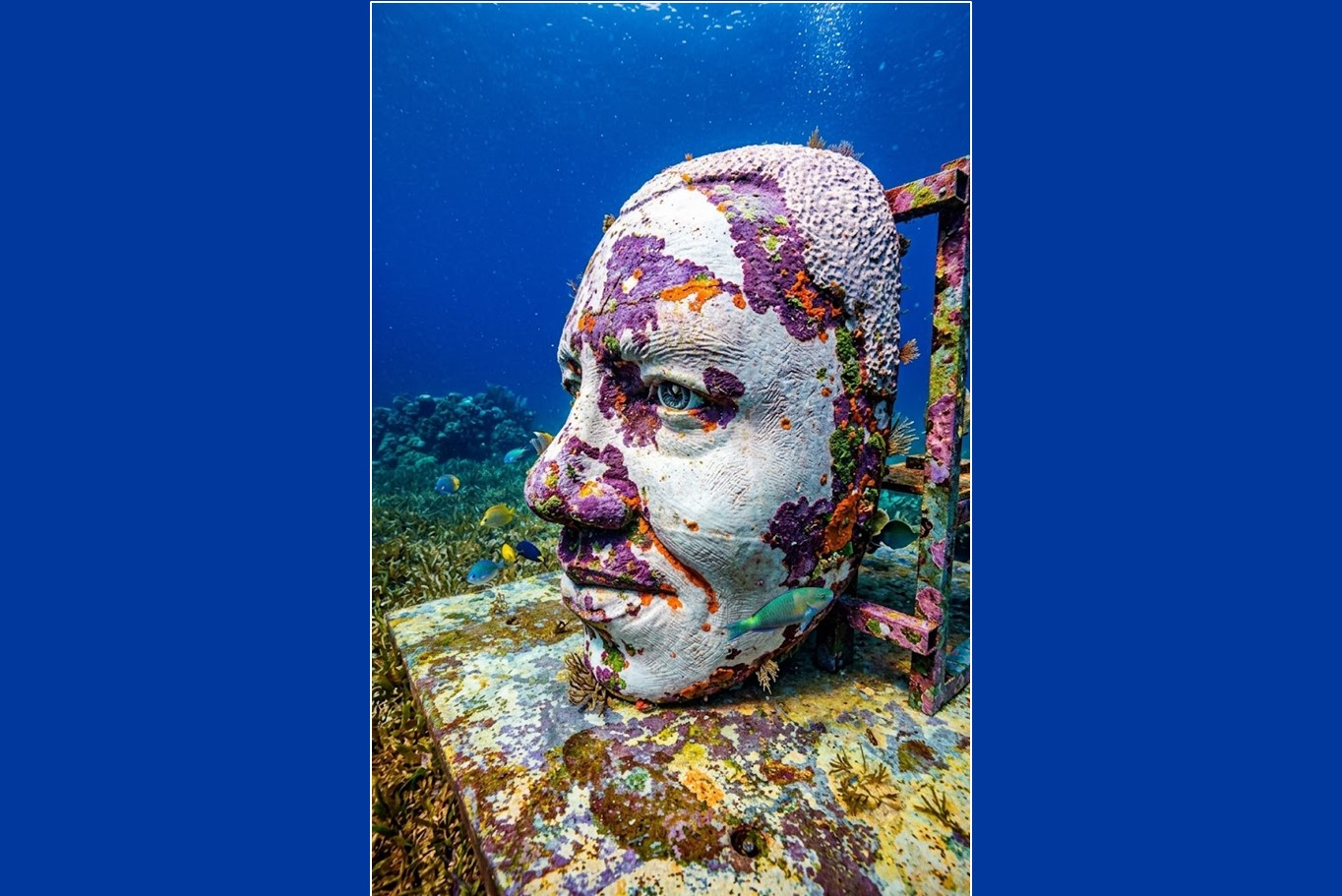 Eine Skulptur des Unterwasserkunst-Projektes Below Saint Lucia (Copyright: Ronald Raoul / Below Saint Lucia)